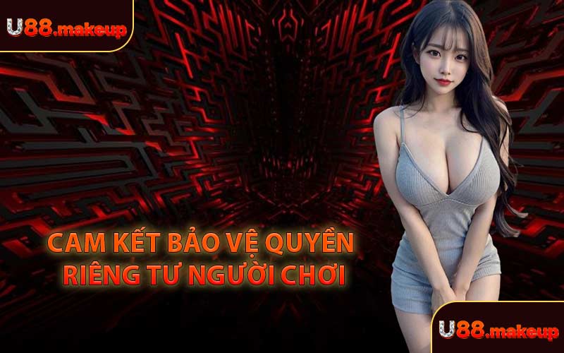 Cam Kết Bảo Vệ Quyền Riêng Tư Người Chơi